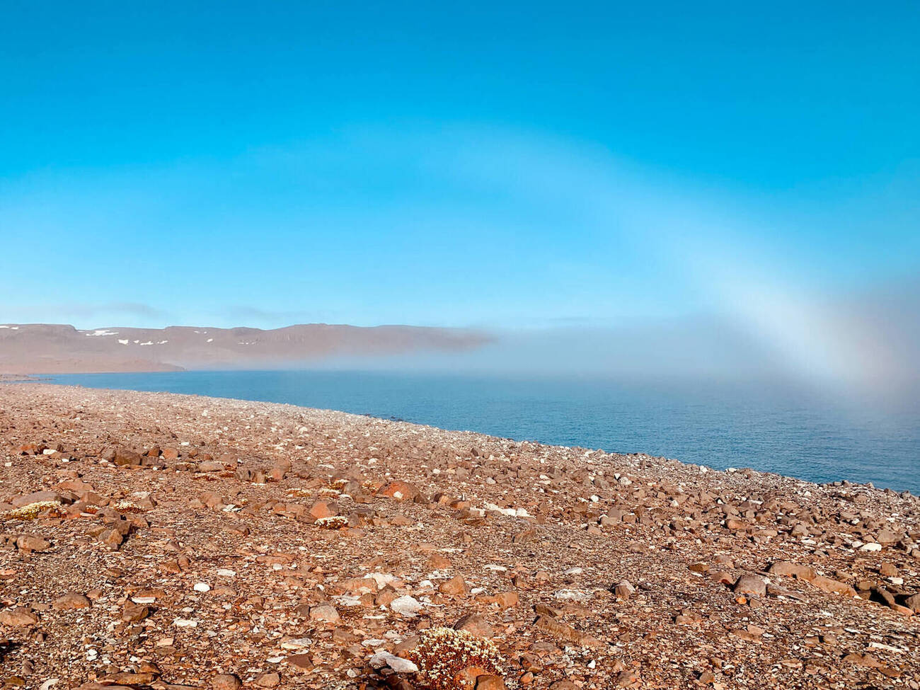 A white fog bow arcing over the Arctic shoreline at Ulukhaktok
