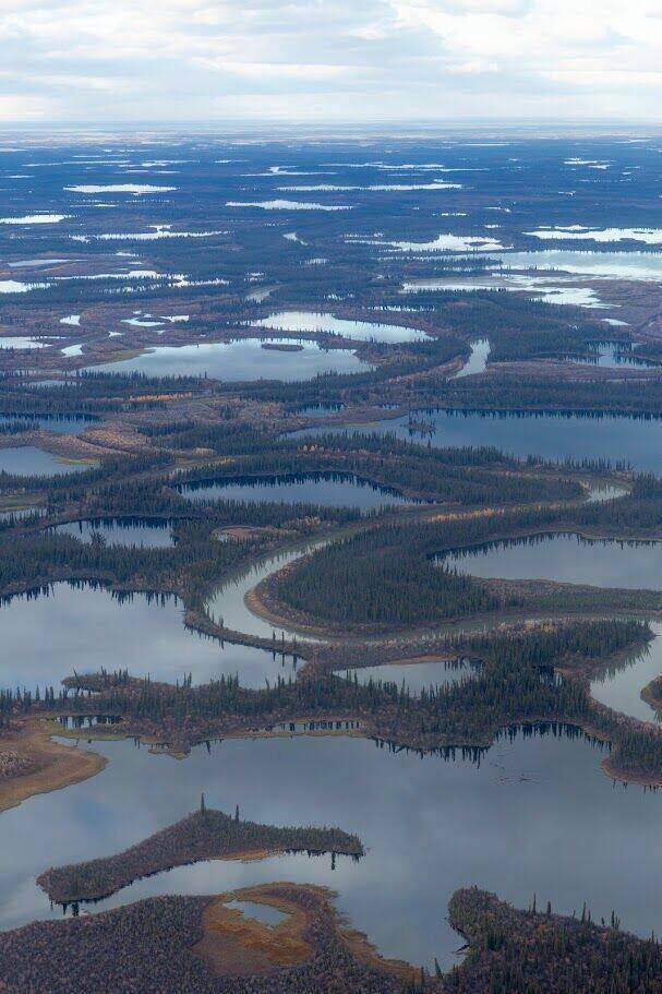 An aerial view of a maze of Arctic lakes and channels, a complex landscape seen from above